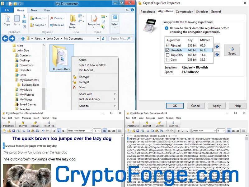 serial cryptoforge 4